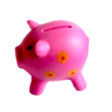 cute piggy bank