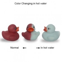 color change rubber duck