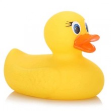 yellow rubber duck