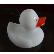 white rubber duck