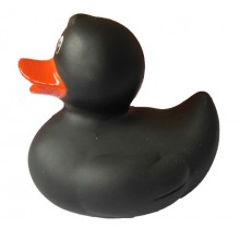 vinyl black duck