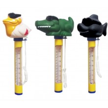 cute pool thermometer